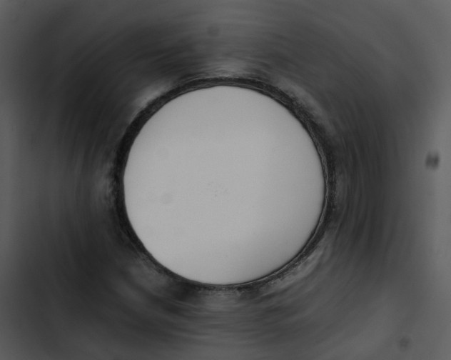 X0000102861210200809081258