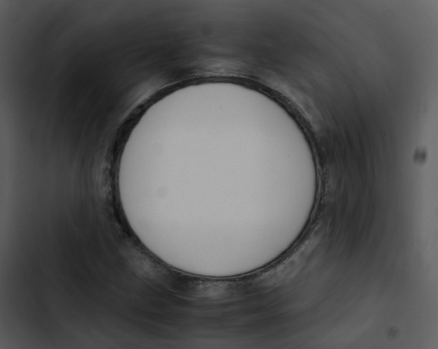 X0000102861211200809081258