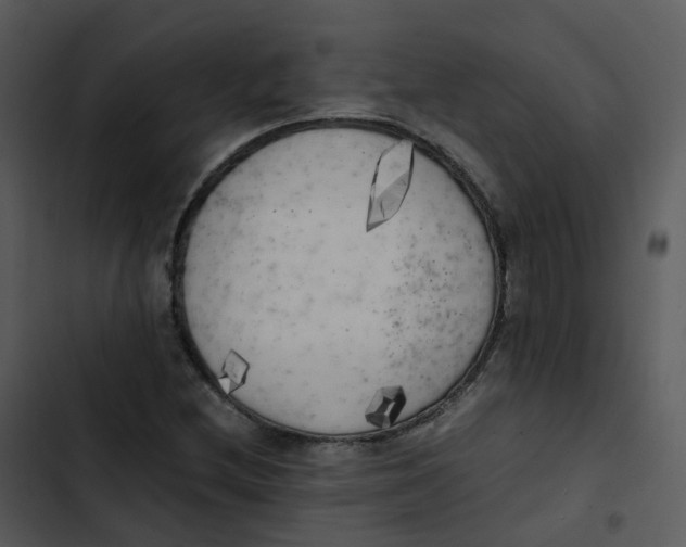 X0000102861212200809081258