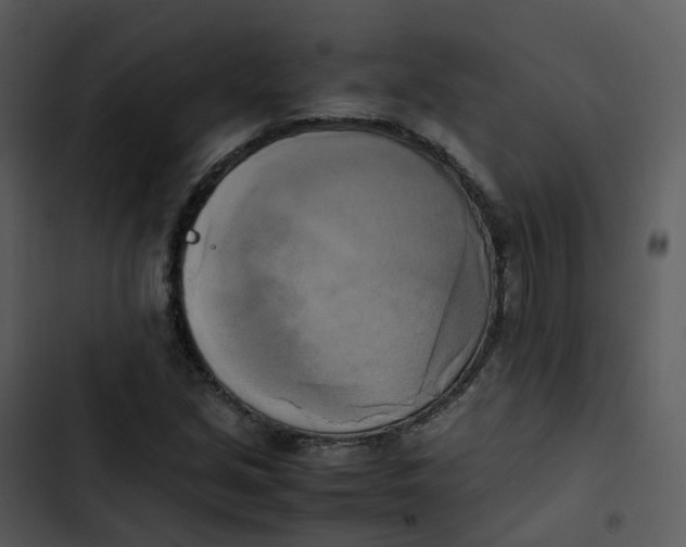 X0000102861213200809081259