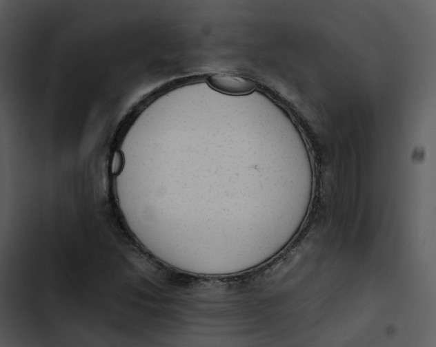 X0000102861214200809081259