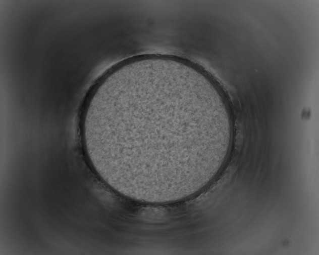 X0000102861215200809081259