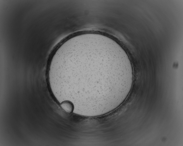 X0000102861216200809081259