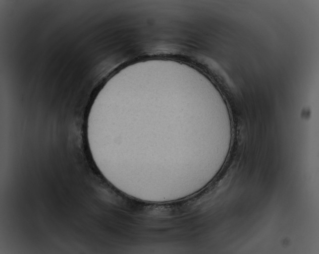 X0000102861217200809081259