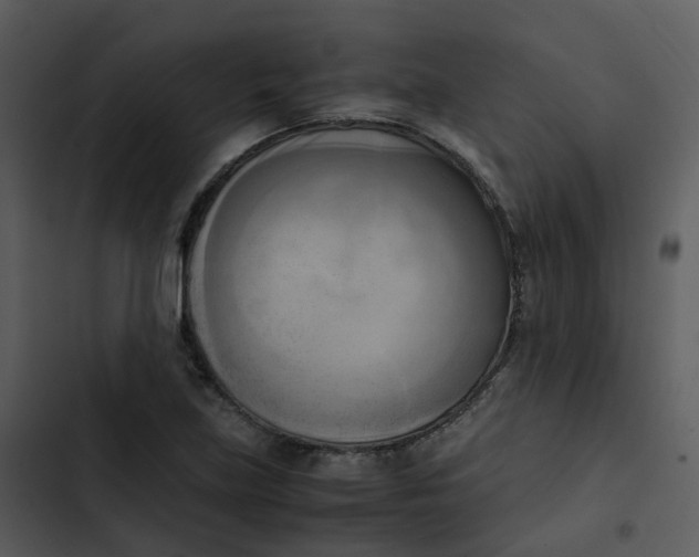 X0000102861219200809081259