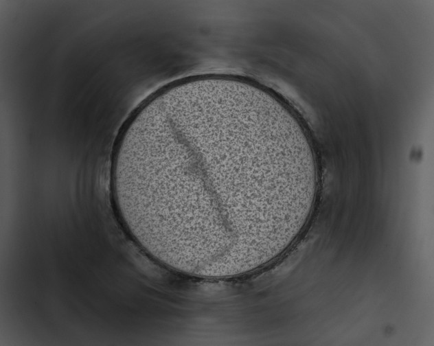 X0000102861220200809081259