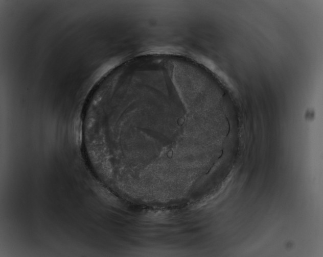 X0000102861221200809081259