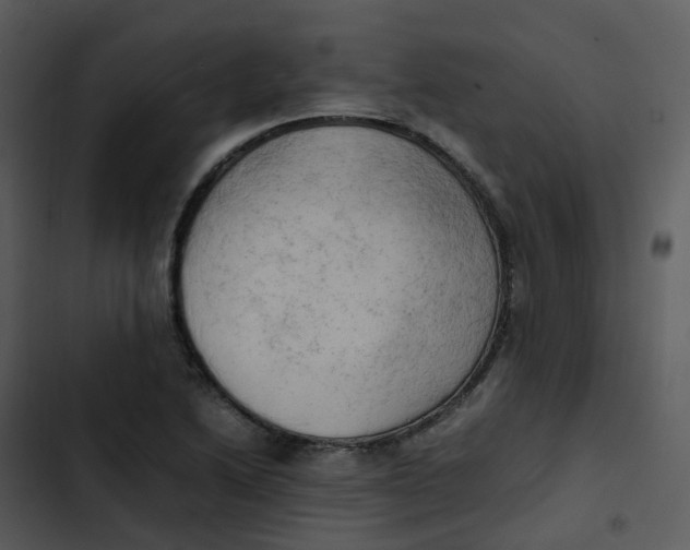 X0000102861222200809081259