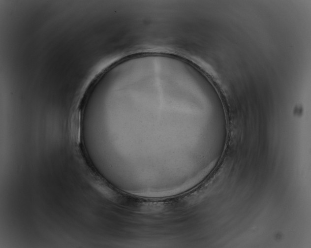 X0000102861223200809081259