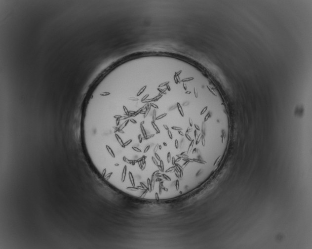 X0000102861224200809081259