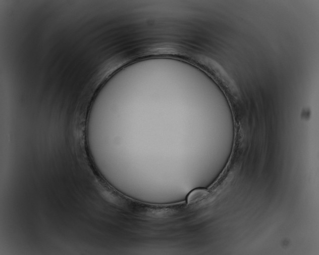 X0000102861225200809081259