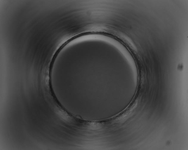 X0000102861226200809081259