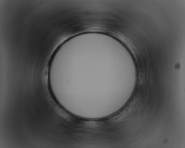 X0000102861227200809081259