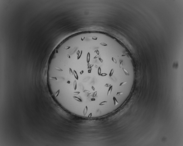 X0000102861228200809081259