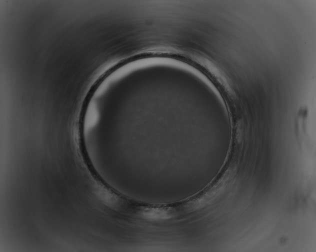 X0000102861229200809081259