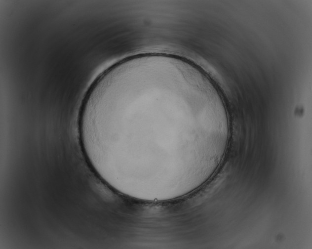 X0000102861230200809081259