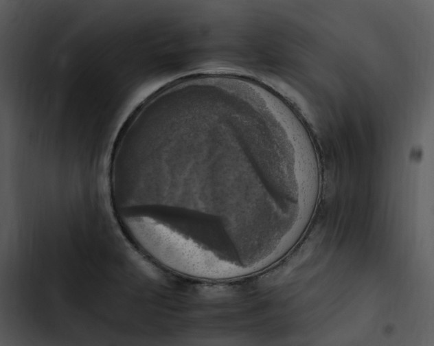 X0000102861231200809081259