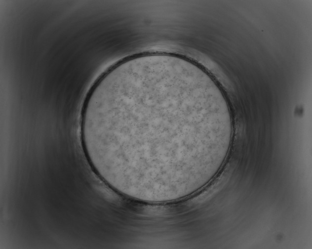 X0000102861232200809081259