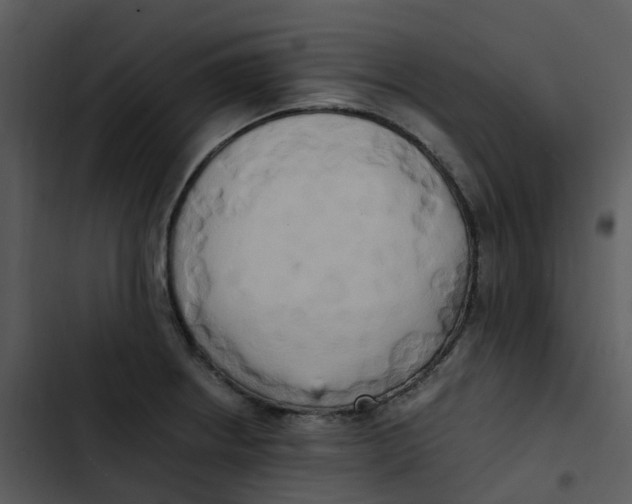 X0000102861234200809081259