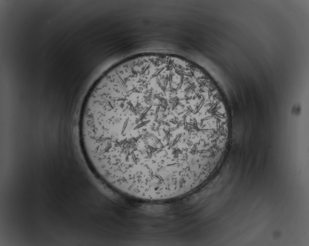 X0000102861237200809081259