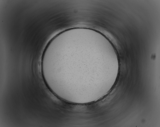 X0000102861238200809081259