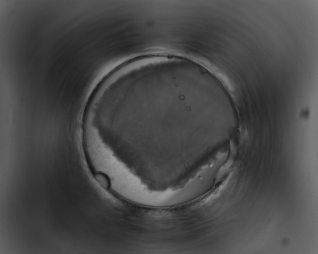 X0000102861239200809081259