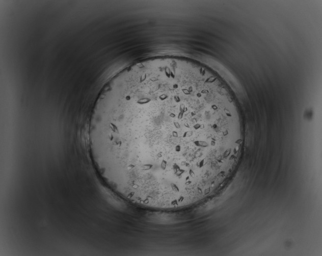 X0000102861241200809081259