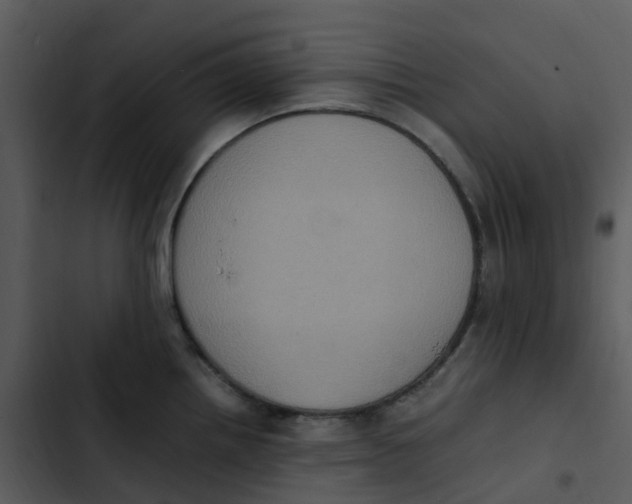 X0000102861242200809081259