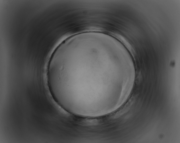 X0000102861243200809081259