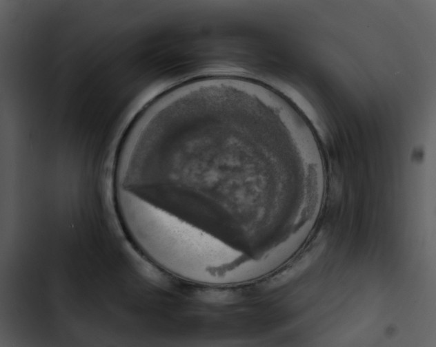 X0000102861245200809081259