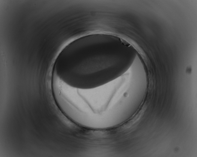 X0000102861246200809081259