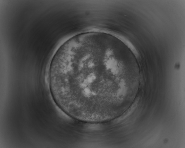 X0000102861247200809081259