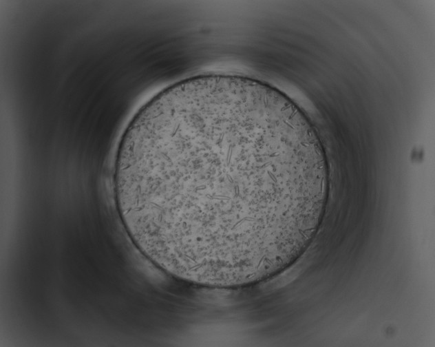 X0000102861248200809081259