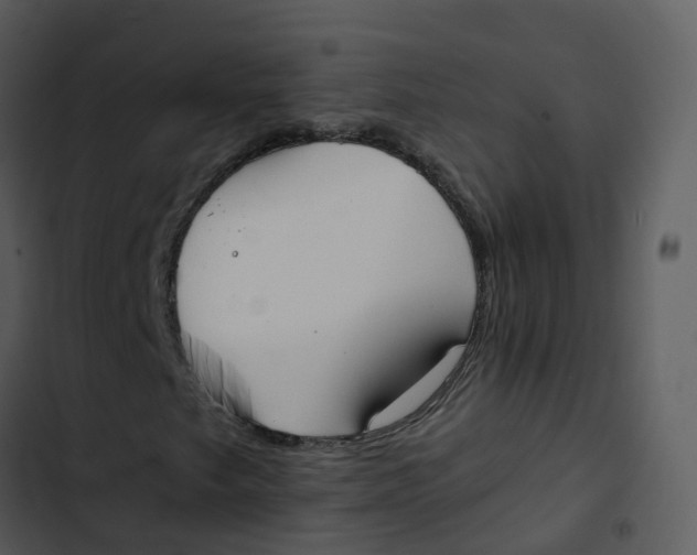 X0000102861249200809081258