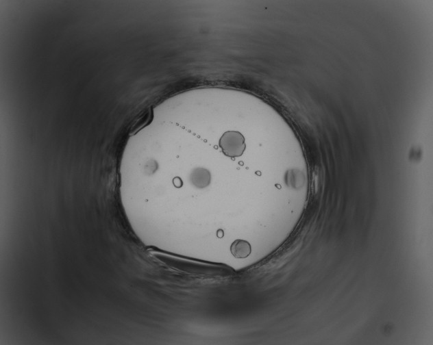 X0000102861251200809081258