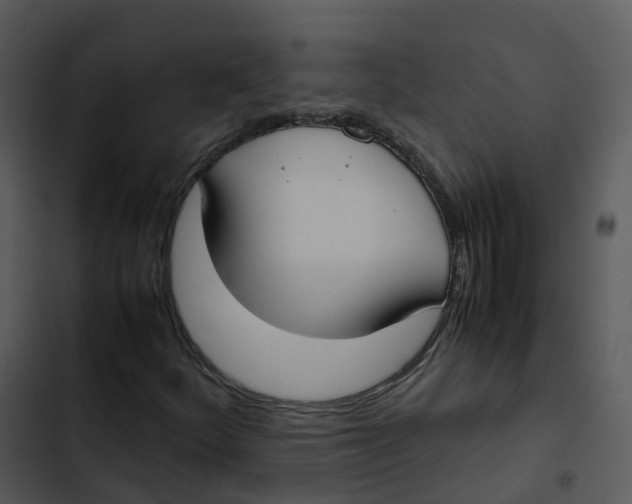 X0000102861252200809081258