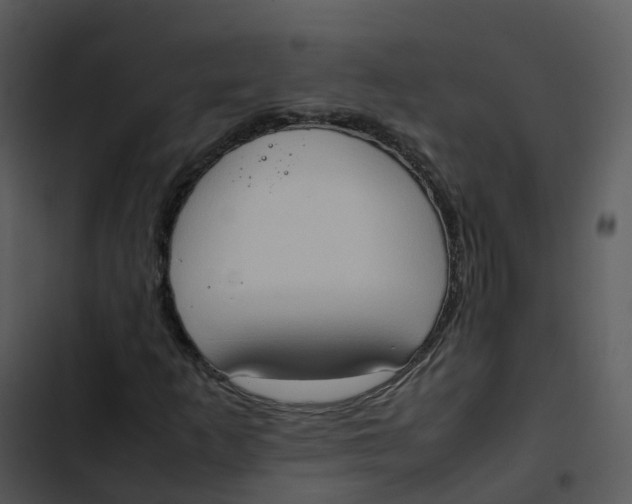 X0000102861253200809081258