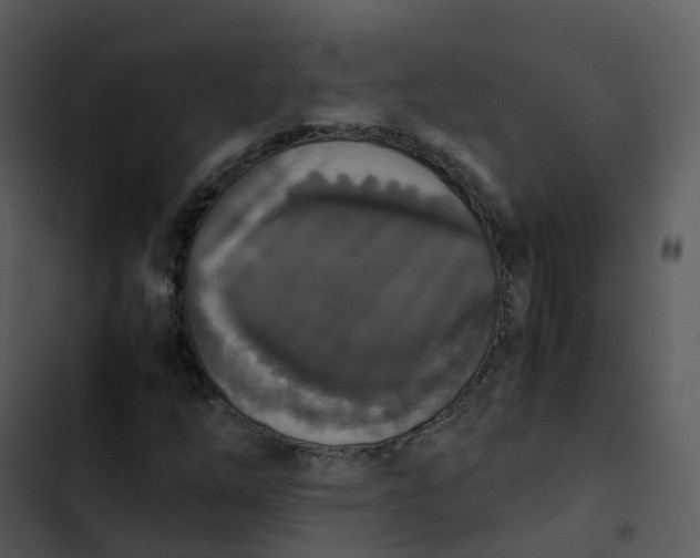 X0000102861254200809081258