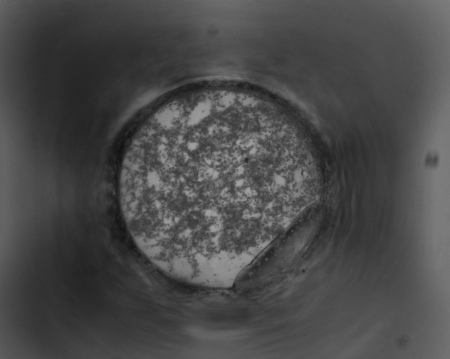 X0000102861255200809081258