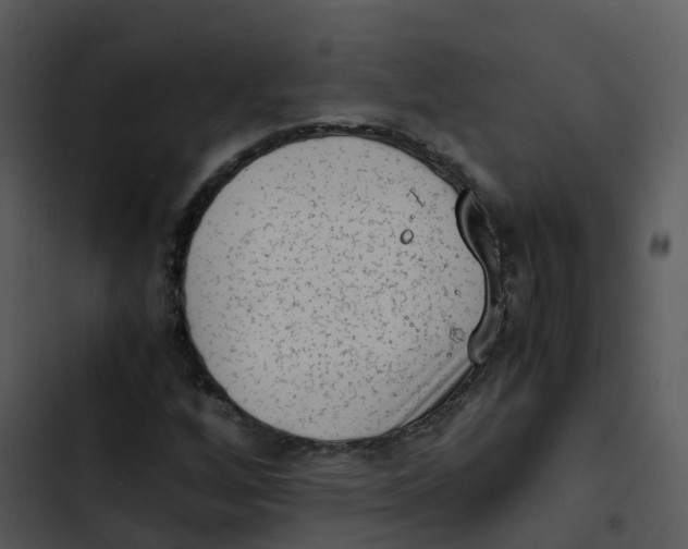 X0000102861256200809081258