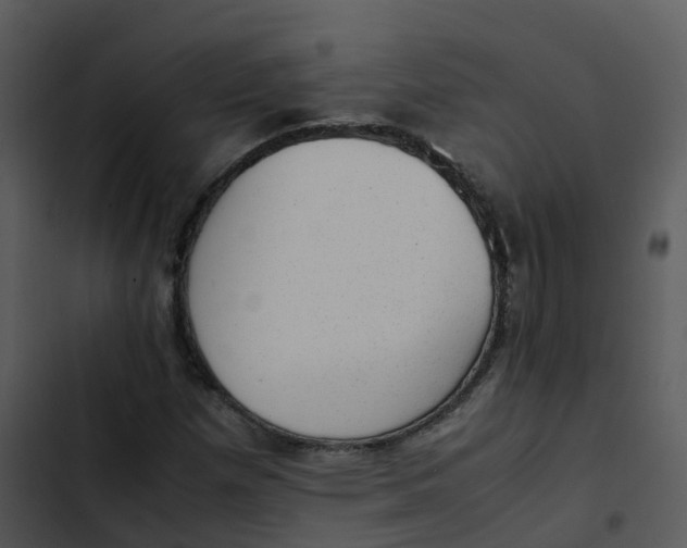 X0000102861257200809081258