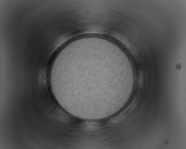 X0000102861258200809081258