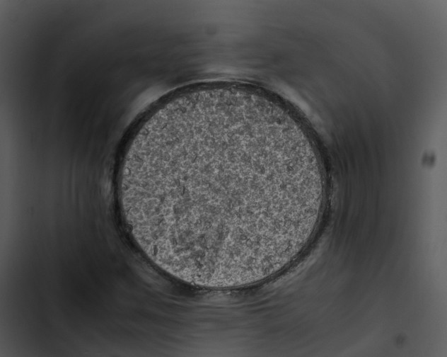 X0000102861259200809081258