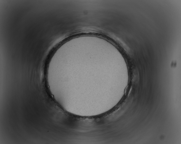 X0000102861261200809081258