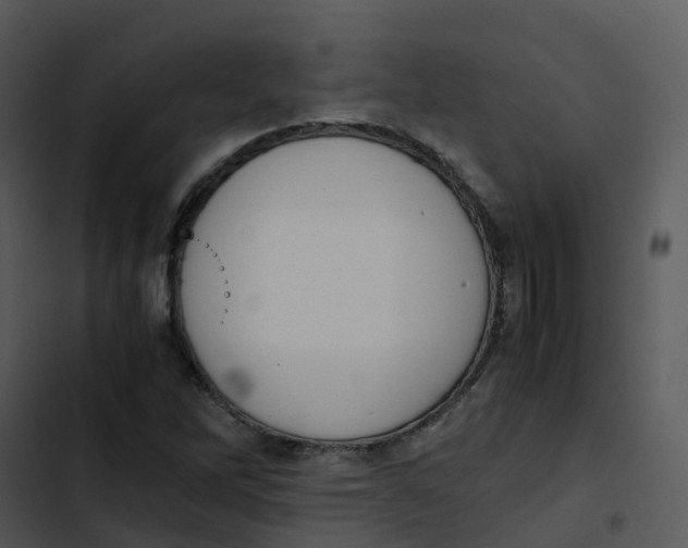 X0000102861262200809081258