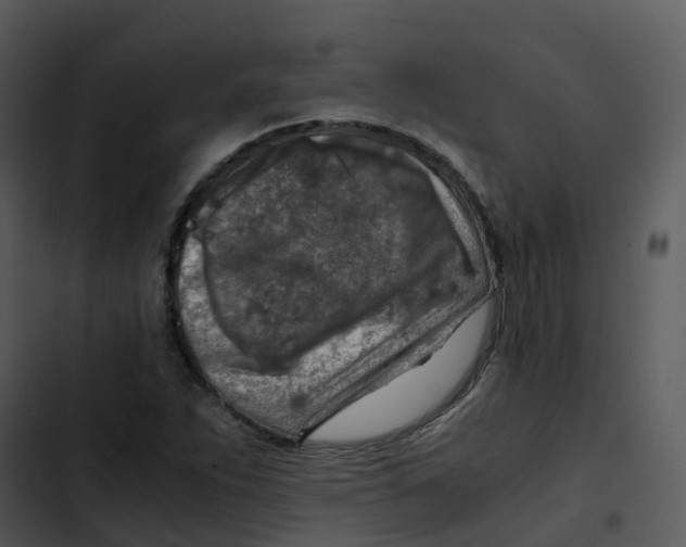 X0000102861263200809081258