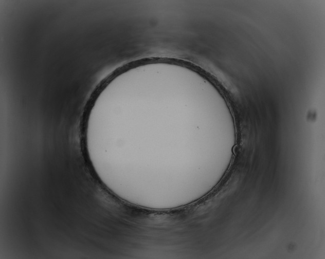 X0000102861264200809081258