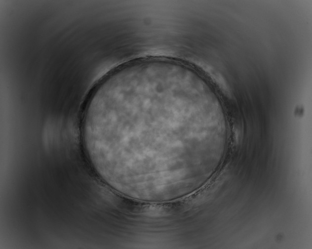 X0000102861266200809081258