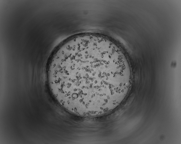 X0000102861267200809081258