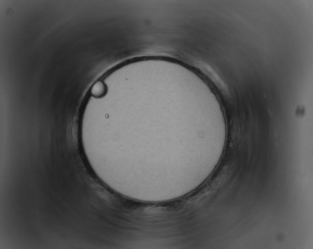 X0000102861268200809081258